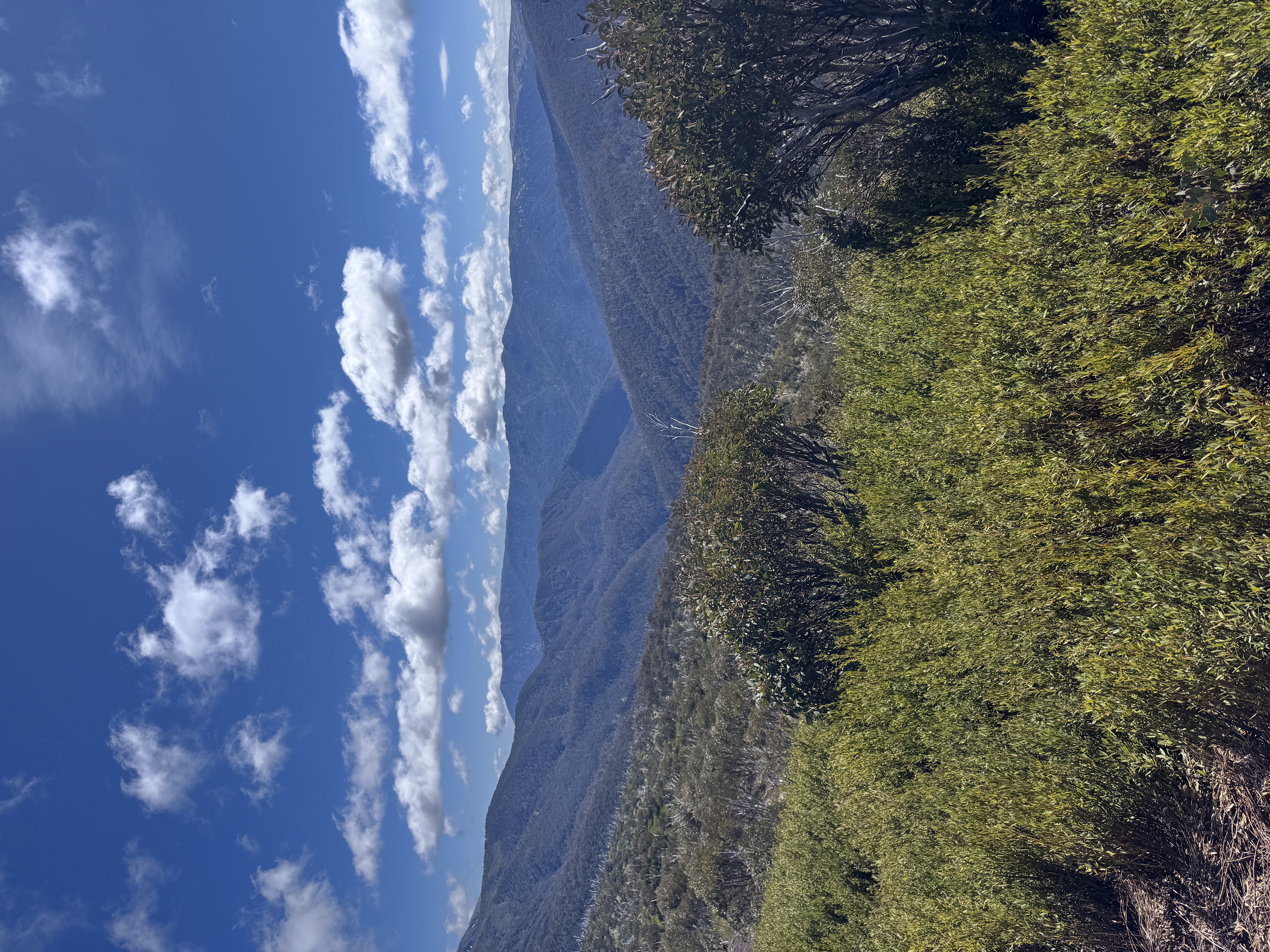 Landscape trail view
